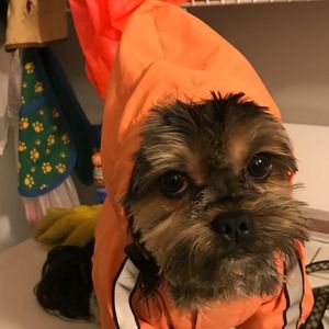 Meet your Posher, Carol